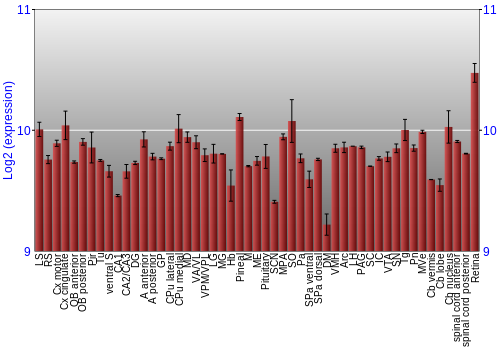 Expression graph
