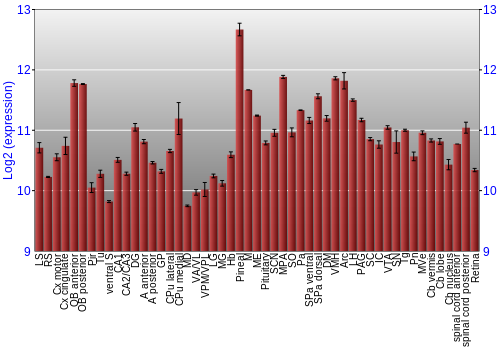 Expression graph