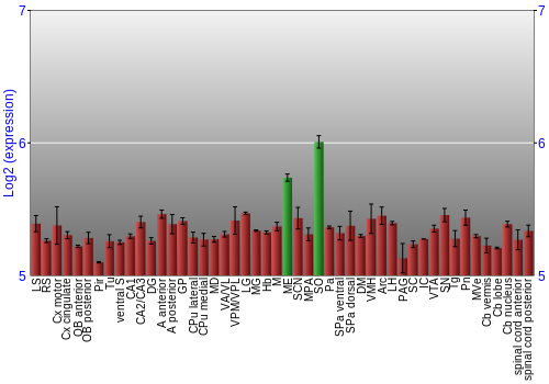 Multi-state expression graph