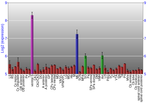 Multi-state expression graph