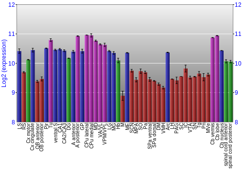 Multi-state expression graph