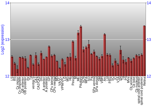 Expression graph
