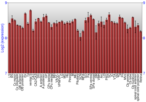 Expression graph