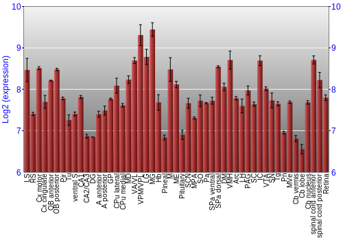 Expression graph