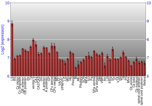 Expression graph