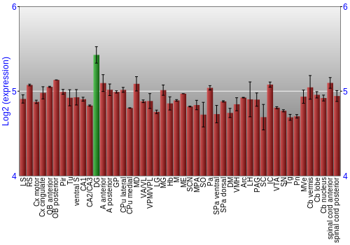 Multi-state expression graph