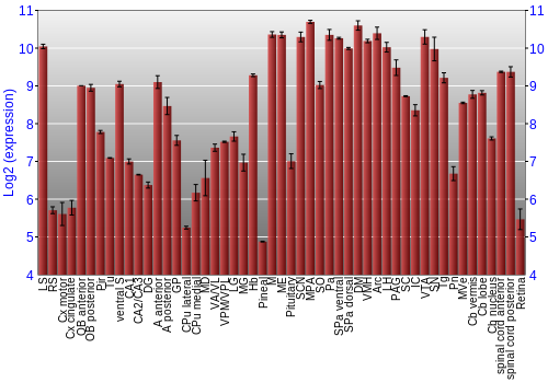 Expression graph