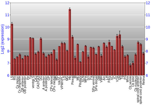 Expression graph