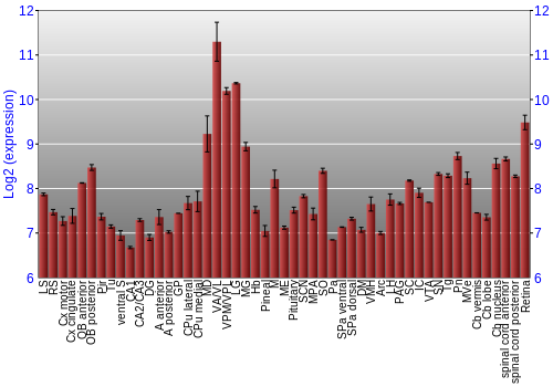 Expression graph