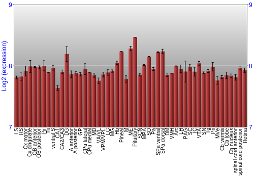 Expression graph