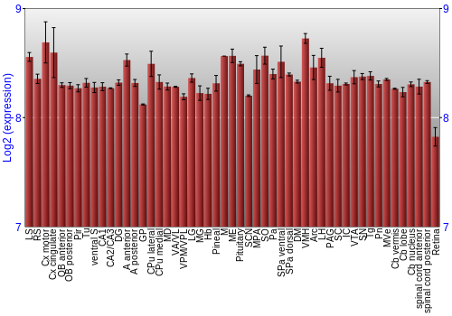Expression graph