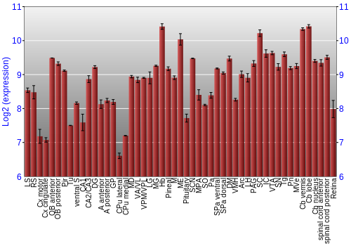 Expression graph