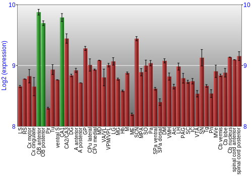 Multi-state expression graph