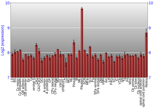 Expression graph
