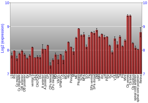 Expression graph
