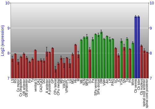 Multi-state expression graph