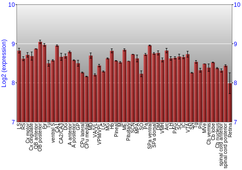 Expression graph