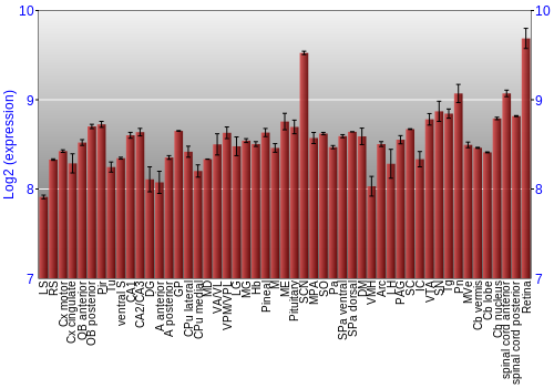 Expression graph