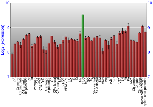 Multi-state expression graph