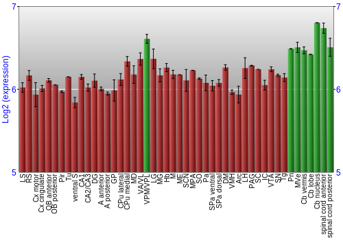 Multi-state expression graph