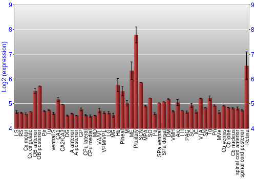Expression graph