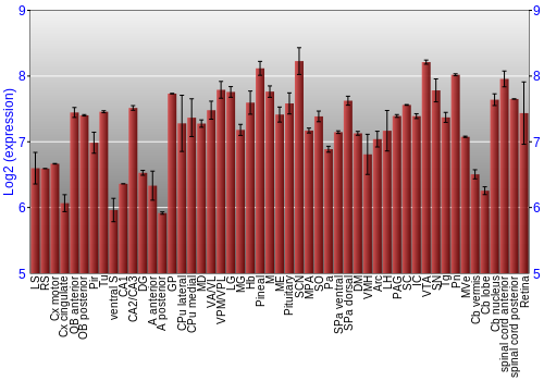 Expression graph