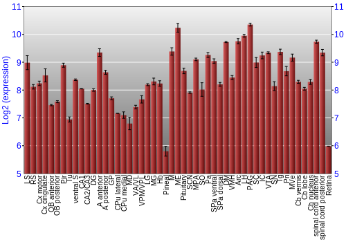 Expression graph