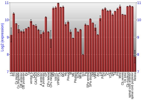 Expression graph
