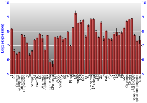 Expression graph