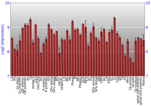 Expression graph