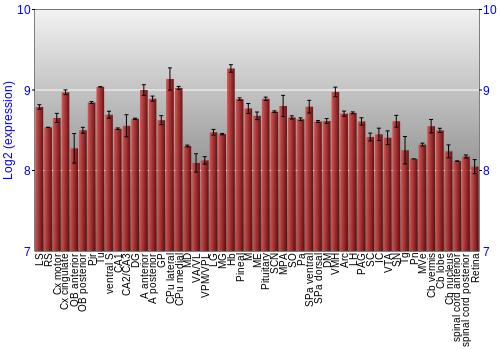 Expression graph