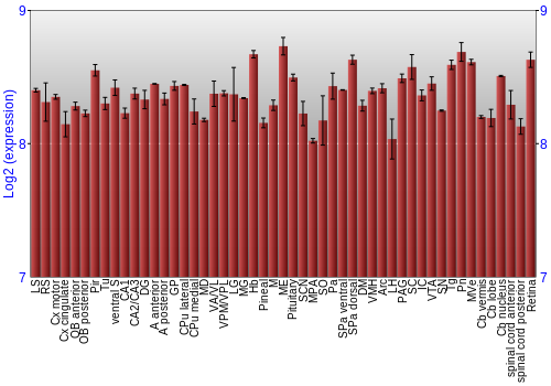 Expression graph