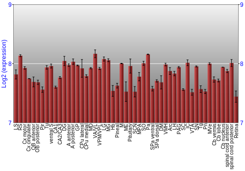 Expression graph