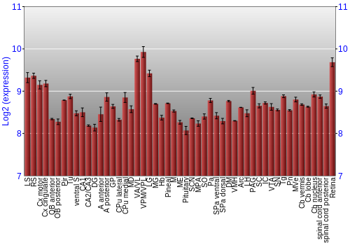 Expression graph