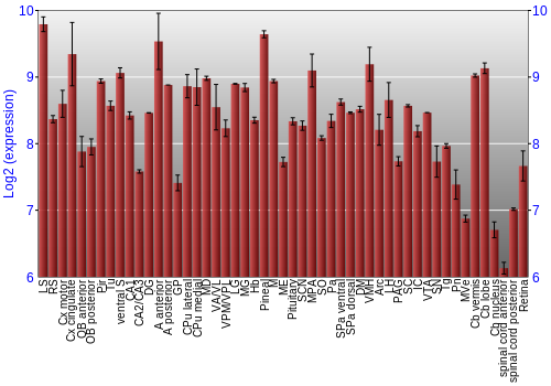Expression graph
