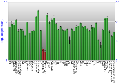 Multi-state expression graph