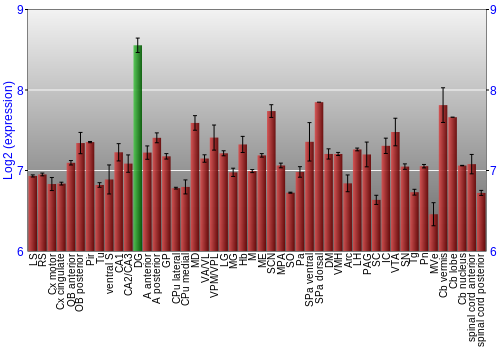 Multi-state expression graph