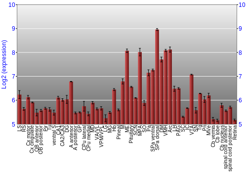 Expression graph
