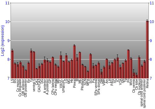 Expression graph