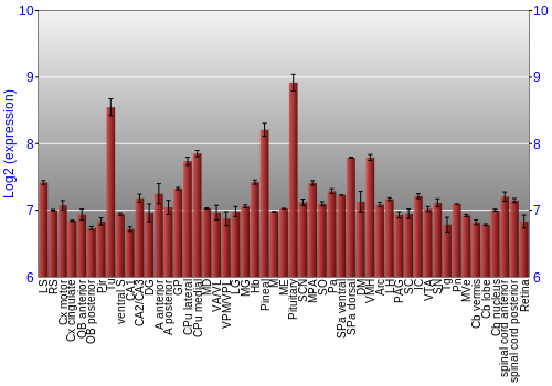 Expression graph