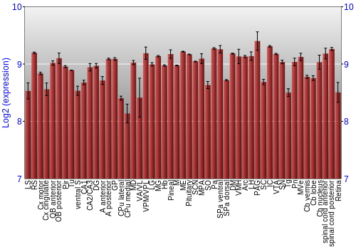 Expression graph
