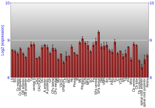 Expression graph