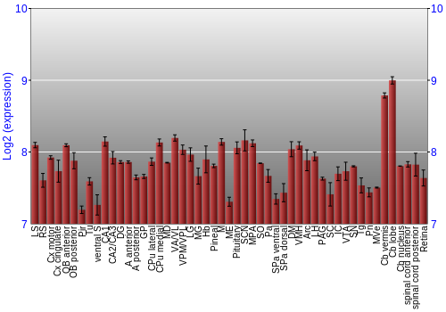 Expression graph