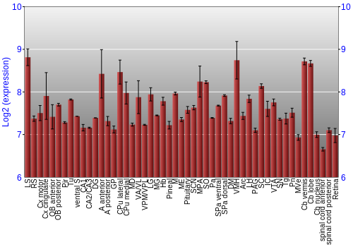 Expression graph