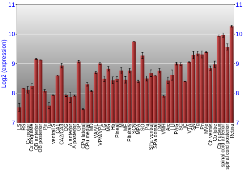 Expression graph