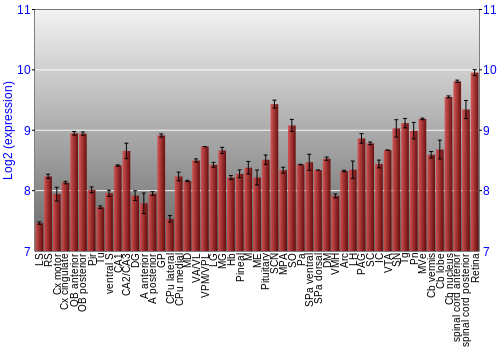 Expression graph