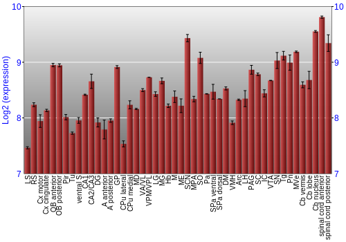 Multi-state expression graph