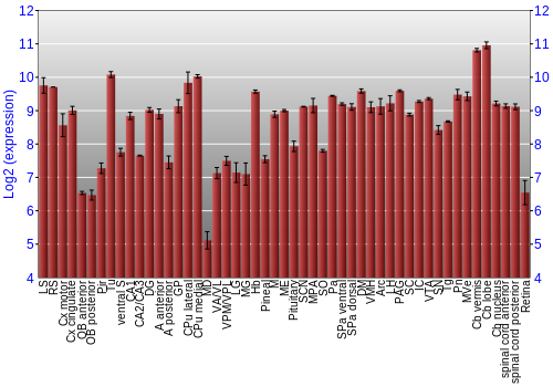 Expression graph