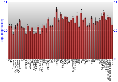 Expression graph