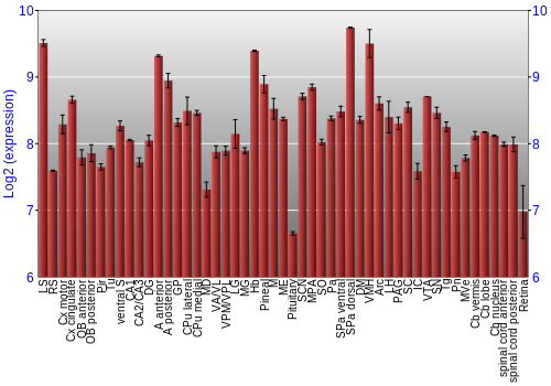 Expression graph